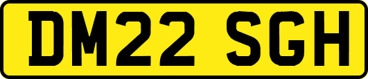 DM22SGH