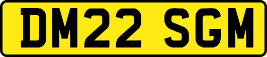 DM22SGM