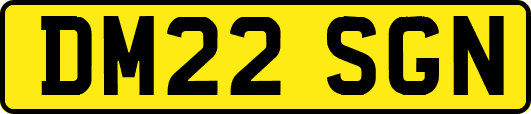 DM22SGN