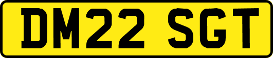 DM22SGT