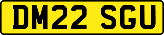 DM22SGU