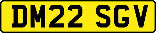 DM22SGV