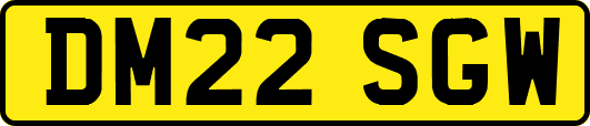 DM22SGW
