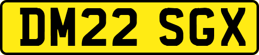 DM22SGX