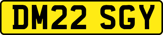 DM22SGY