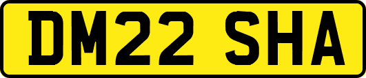 DM22SHA
