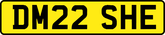 DM22SHE
