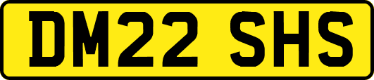 DM22SHS
