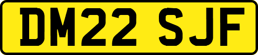 DM22SJF