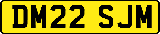 DM22SJM