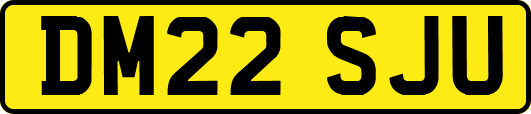 DM22SJU