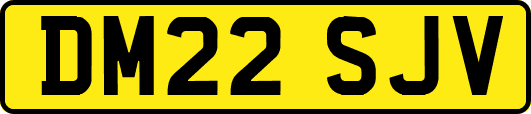 DM22SJV