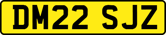 DM22SJZ