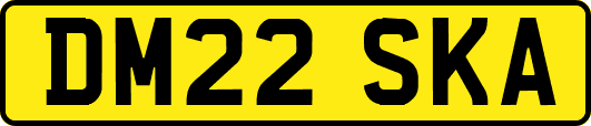 DM22SKA
