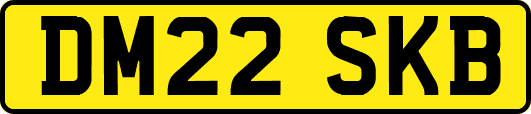 DM22SKB