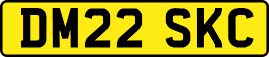 DM22SKC