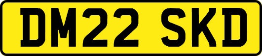 DM22SKD