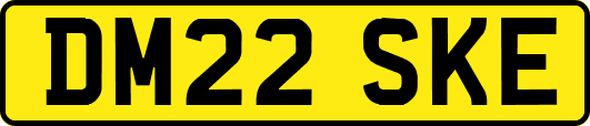 DM22SKE
