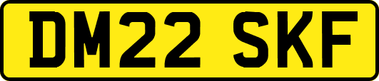 DM22SKF