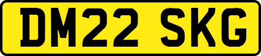 DM22SKG