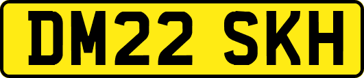 DM22SKH