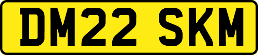 DM22SKM