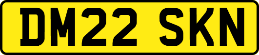 DM22SKN