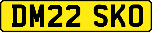 DM22SKO