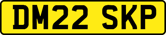 DM22SKP