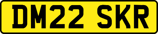 DM22SKR
