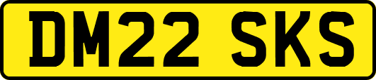 DM22SKS