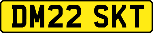 DM22SKT