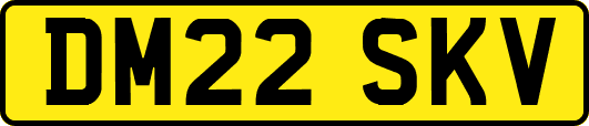 DM22SKV
