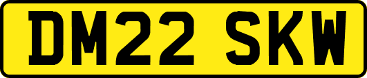 DM22SKW