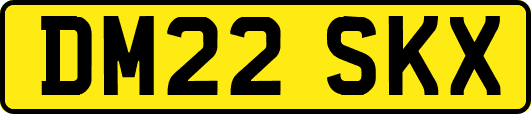 DM22SKX