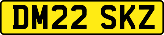 DM22SKZ