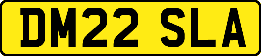 DM22SLA