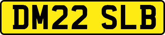 DM22SLB