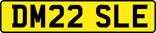 DM22SLE