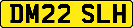 DM22SLH
