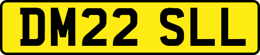 DM22SLL