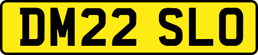 DM22SLO