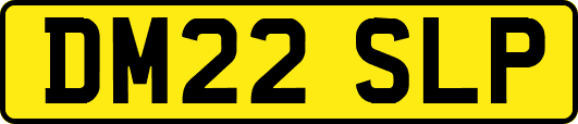 DM22SLP