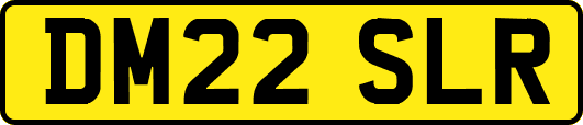 DM22SLR