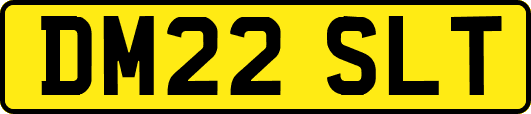 DM22SLT