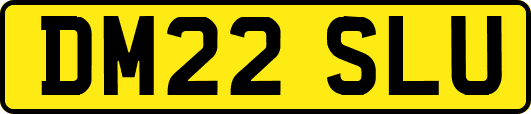 DM22SLU