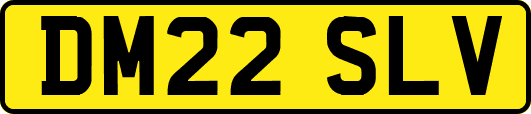 DM22SLV
