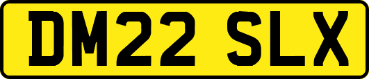 DM22SLX
