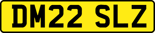 DM22SLZ