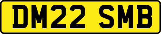 DM22SMB